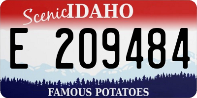 ID license plate E209484