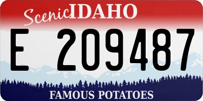 ID license plate E209487