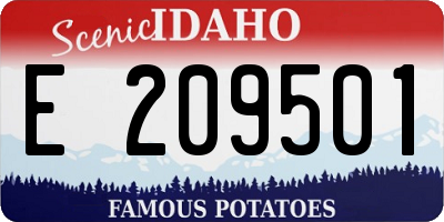 ID license plate E209501