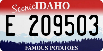 ID license plate E209503