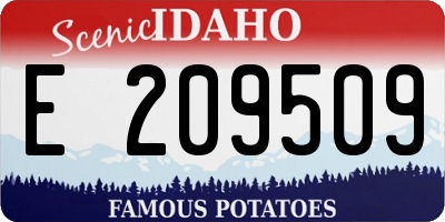 ID license plate E209509