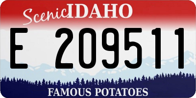ID license plate E209511