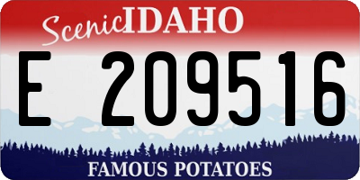ID license plate E209516