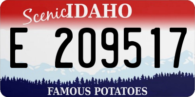 ID license plate E209517