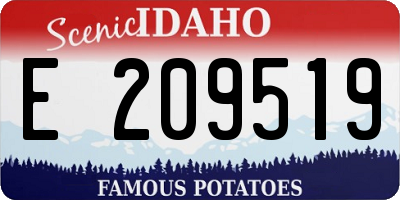 ID license plate E209519