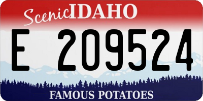 ID license plate E209524