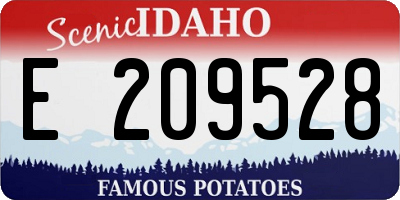 ID license plate E209528