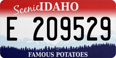 ID license plate E209529