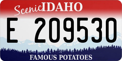 ID license plate E209530