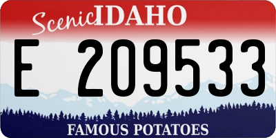 ID license plate E209533