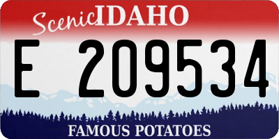 ID license plate E209534