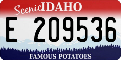 ID license plate E209536