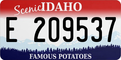 ID license plate E209537
