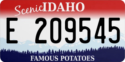 ID license plate E209545
