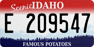 ID license plate E209547