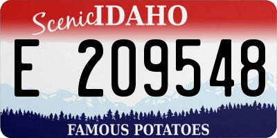ID license plate E209548