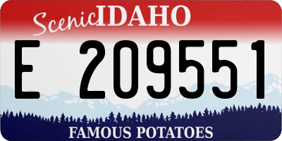 ID license plate E209551