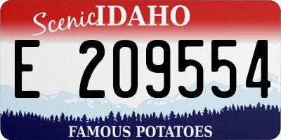 ID license plate E209554