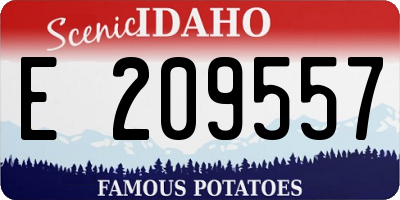 ID license plate E209557