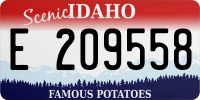 ID license plate E209558