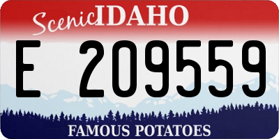 ID license plate E209559