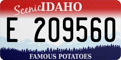 ID license plate E209560