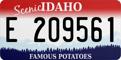 ID license plate E209561