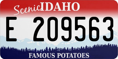 ID license plate E209563