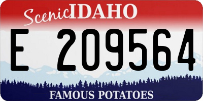 ID license plate E209564