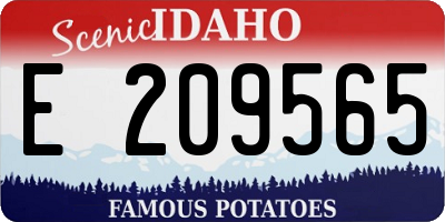 ID license plate E209565
