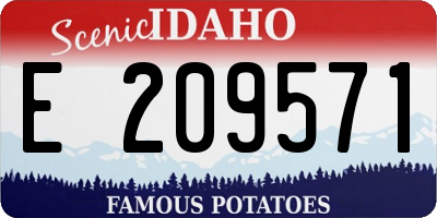 ID license plate E209571