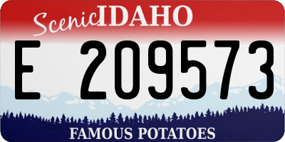 ID license plate E209573