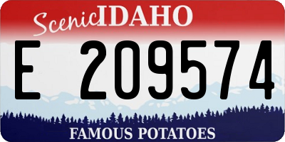 ID license plate E209574