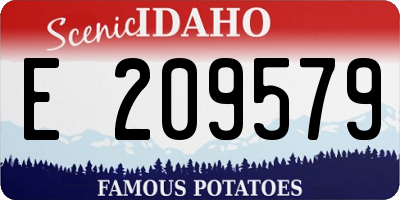 ID license plate E209579