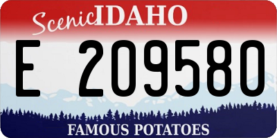ID license plate E209580