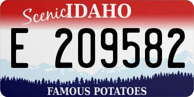 ID license plate E209582