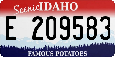 ID license plate E209583