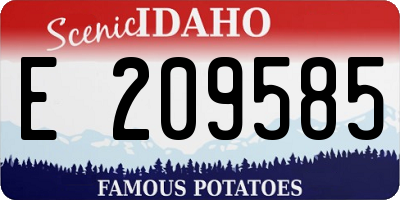 ID license plate E209585