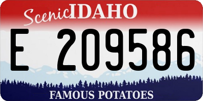 ID license plate E209586