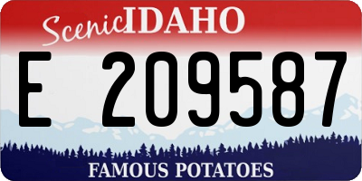 ID license plate E209587