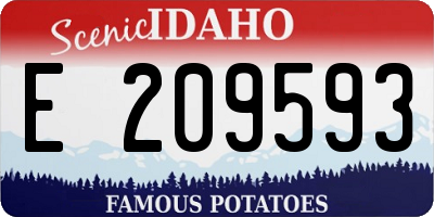 ID license plate E209593