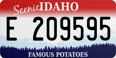 ID license plate E209595