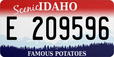 ID license plate E209596