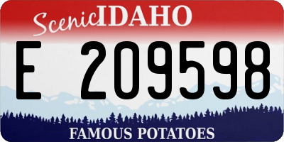 ID license plate E209598