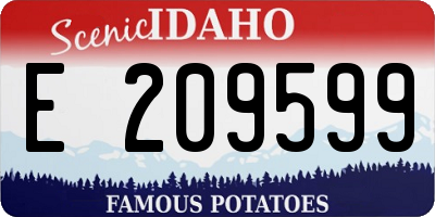 ID license plate E209599