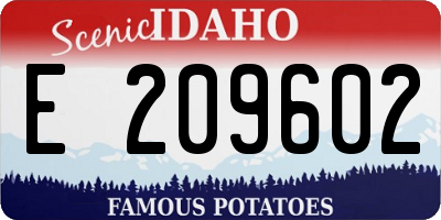 ID license plate E209602