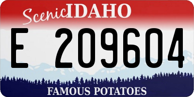 ID license plate E209604