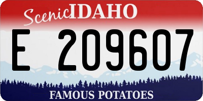 ID license plate E209607