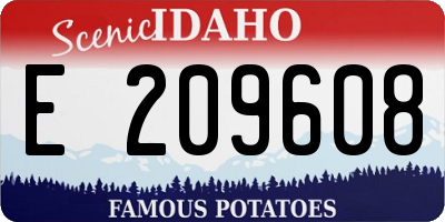 ID license plate E209608