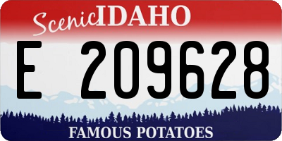 ID license plate E209628